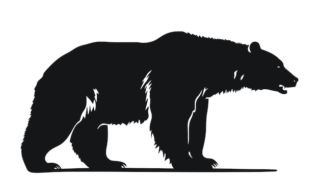 Siluetta dell'orso di vettore isolata su priorità bassa bianca
