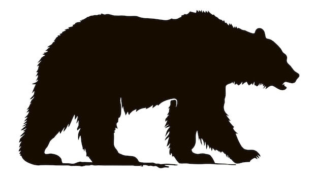 Siluetta dell'orso di vettore isolata su priorità bassa bianca