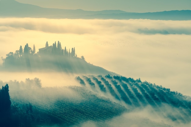 Siluetta magicamente nebbiosa della valle nella campagna del paesaggio di mattina della Toscana Italia Europa