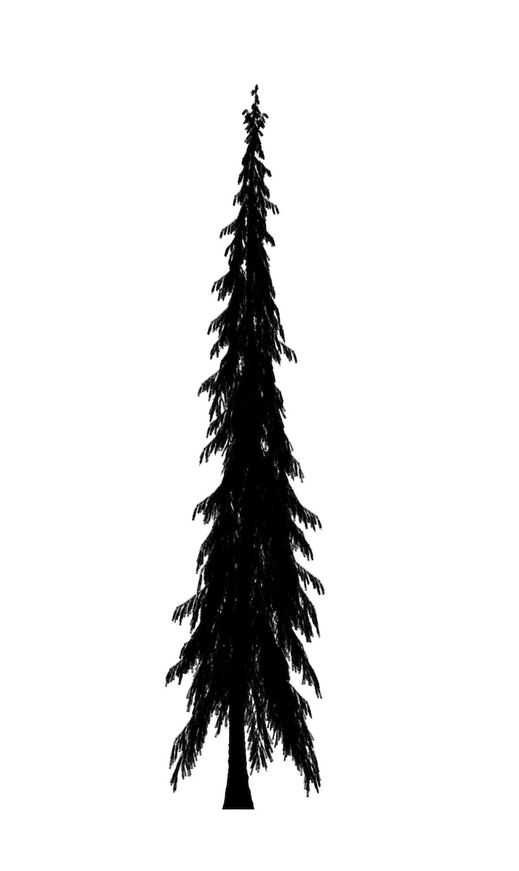 Foto siluetta nera dell'icona dell'albero di natale del pino isolata su priorità bassa bianca