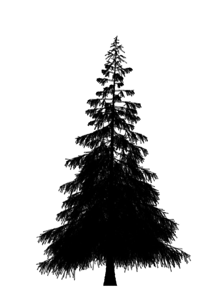 Foto siluetta nera dell'icona dell'albero di natale del pino isolata su priorità bassa bianca