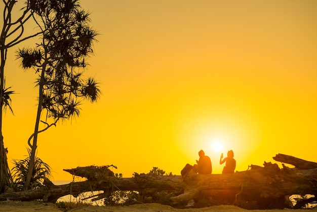 Siluette delle coppie romantiche che si siedono sul tronco d'albero alla spiaggia tropicale al tramonto