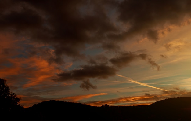 Siluette drammatiche del bello cielo di tramonto degli alberi