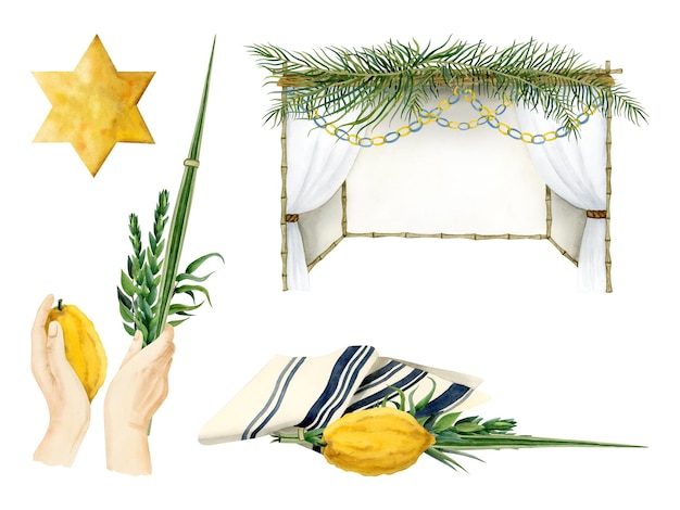 Simboli di Sukkot sukkah tallit agitando Lulav e stella dorata gialla di Davide set di illustrazioni ad acquerello