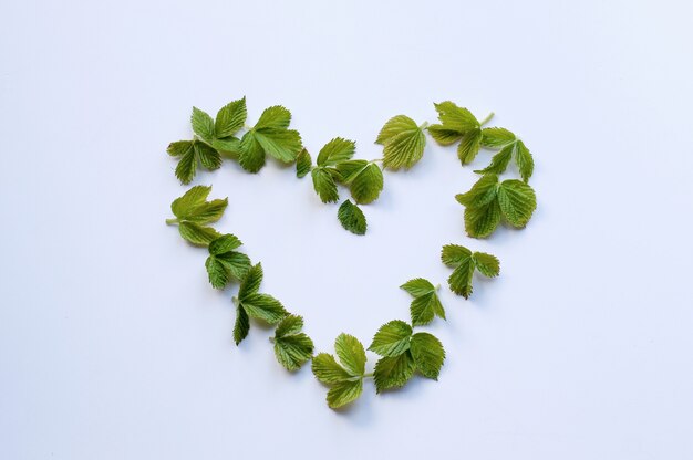 Simbolo del cuore fatto di foglie di mora verde su sfondo bianco