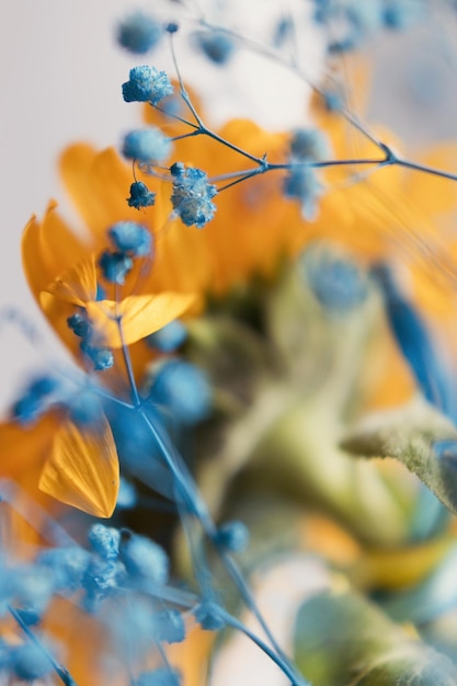 Simbolo di fiori gialli e blu Ucraina