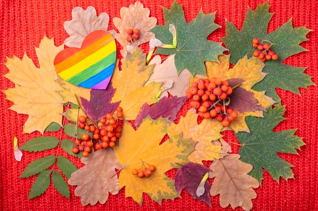 Simbolo LGBT del cuore arcobaleno di carta su foglie autunnali cadute secche multicolori rosse, arancioni, verdi e bacche di sorbo arancione su sfondo rosso. L'autunno è la stagione preferita