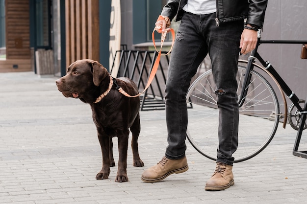 Simpatico cane di razza al guinzaglio e il suo proprietario in abbigliamento casual in piedi sul trottoire durante il freddo in città