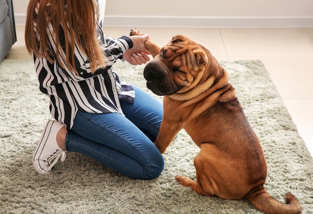 Simpatico cane divertente con proprietario a casa