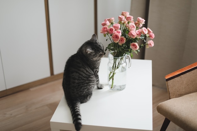 Simpatico gatto divertente e brocca con fiori di rosa in una decorazione d'interni luminosa e accogliente