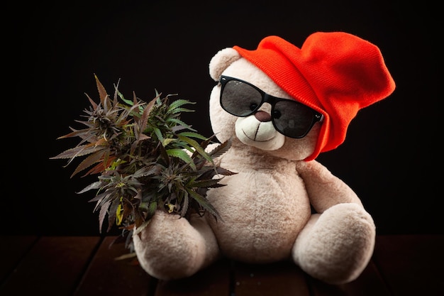 Simpatico orso di peluche con un cespuglio di cannabis