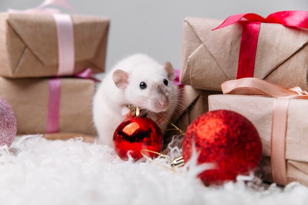 simpatico topo su uno sfondo di Capodanno
