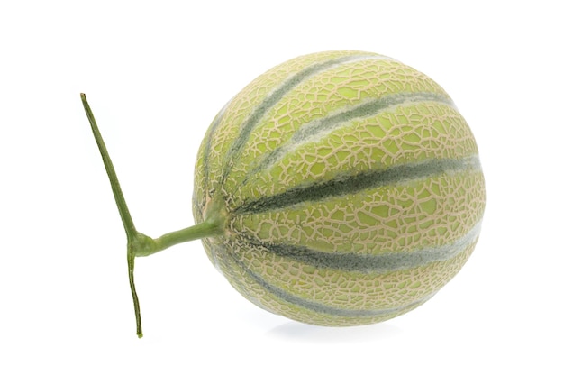 Singolo melone cantalupo pieno isolato su sfondo bianco.