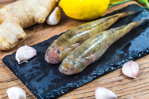 Sinodontidi, Sinodontidi di Lizardfish