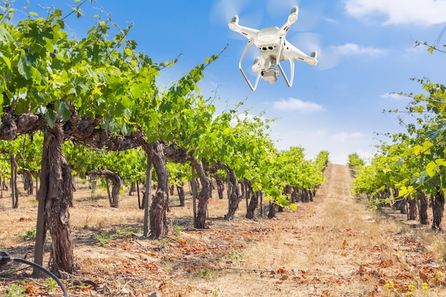 Sistema di aeromobili senza equipaggio UAV Quadcopter Drone nell'aria sopra Grape Vineyard Farm