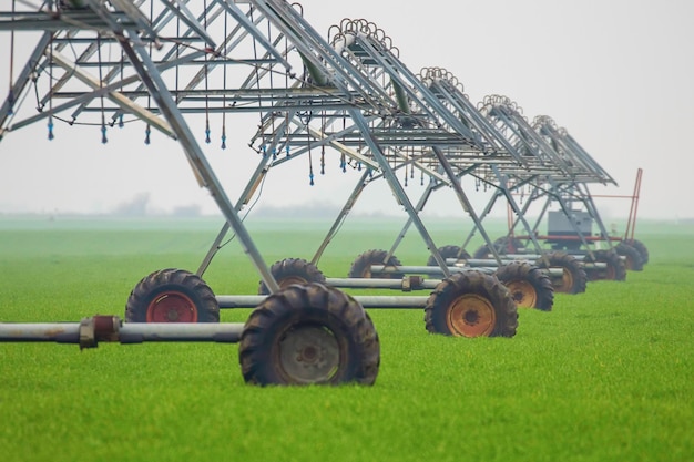 Sistema di irrigazione a perno centrale in campo, concetto di agricoltura