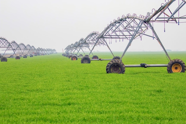 Sistema di irrigazione a perno centrale in campo Concetto di agricoltura