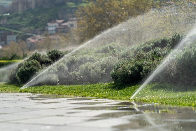 Sistema di irrigazione automatico per l'irrigazione del prato per piante in parco pubblico e centro città