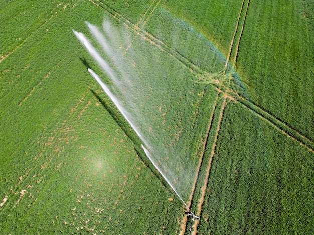 Sistema di irrigazione con irrigatori a pioggia