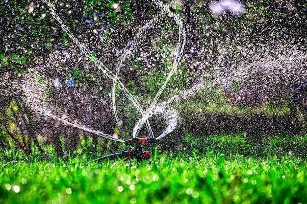 Sistema di irrigazione del prato che spruzza acqua sul prato quando fa molto caldo