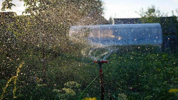 Sistema di irrigazione per l'irrigazione del giardino.