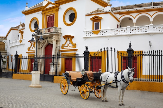 Siviglia Real Maestranza Plaza de Toros