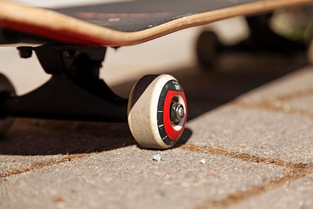 Skateboard con ruote nuove