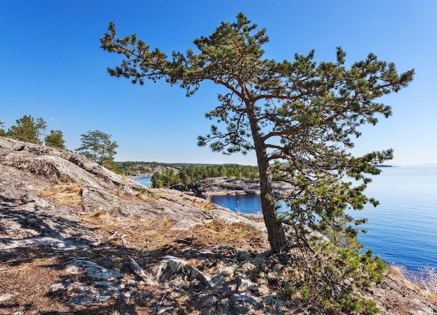 Skerries del lago Ladoga Carelia Russia