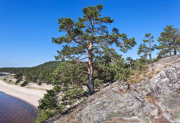 Skerries del lago Ladoga Carelia Russia