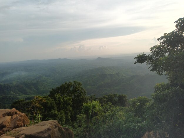 Sky View in Hill track