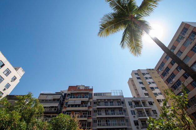 Skyline che mostra il cielo e le facciate degli edifici e un albero di cocco in controluce al sole