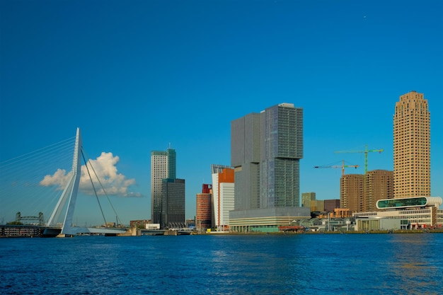 Skyline dei grattacieli di Rotterdam e ponte Erasmusbrug sul fiume Nieuwe Maas Rotterdam