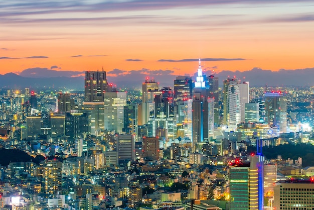 Skyline di Tokyo con edifici a Shinjuku in Giappone