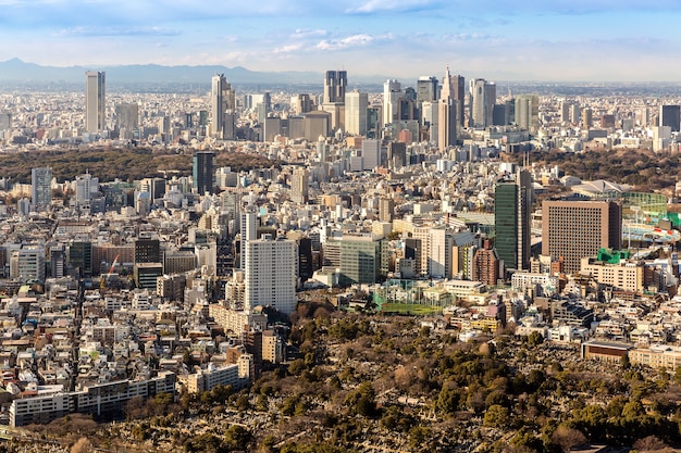 Skyline di Tokyo Shinjuku