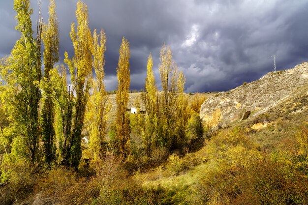 Skyscape tempesta. Nuvole scure sugli alberi al tramonto. Sepulveda,