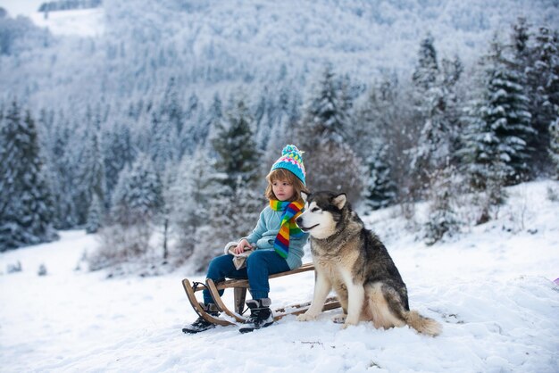 Slittino del ragazzo del bambino nell'inverno bambino che guida sugli scivoli della neve nell'inverno con il cane husky