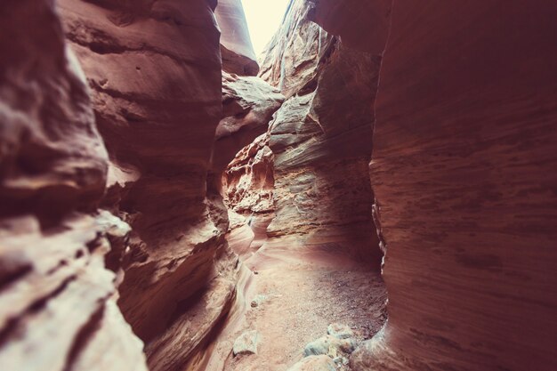 Slot canyon nel parco nazionale di Grand Staircase Escalante, Utah, Stati Uniti d'America. Insolite formazioni di arenaria colorata nei deserti dello Utah sono una destinazione popolare per gli escursionisti.