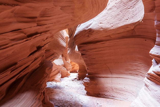 Slot canyon nel parco nazionale di Grand Staircase Escalante, Utah, Stati Uniti d'America. Insolite formazioni di arenaria colorata nei deserti dello Utah sono una destinazione popolare per gli escursionisti.