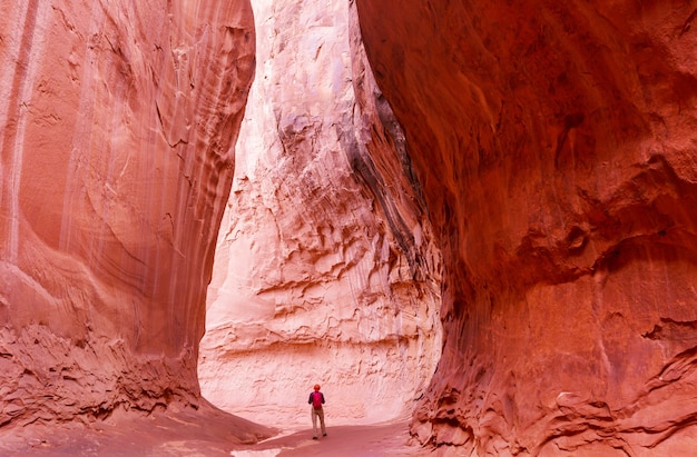 Slot canyon nel parco nazionale Grand Staircase Escalante, Utah, Stati Uniti d'America.