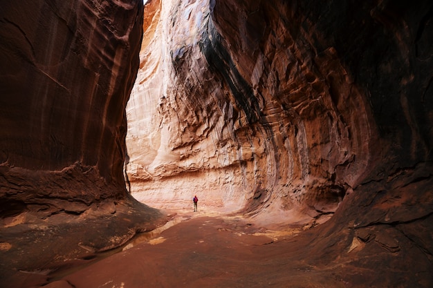 Slot canyon nel parco nazionale Grand Staircase Escalante, Utah, Stati Uniti d'America.