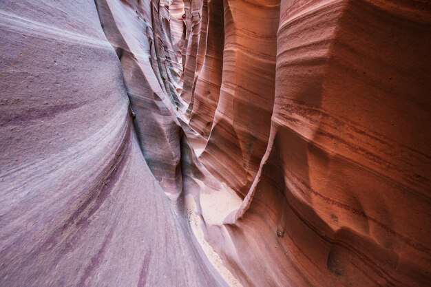 Slot canyon nel parco nazionale Grand Staircase Escalante, Utah, Stati Uniti d'America.