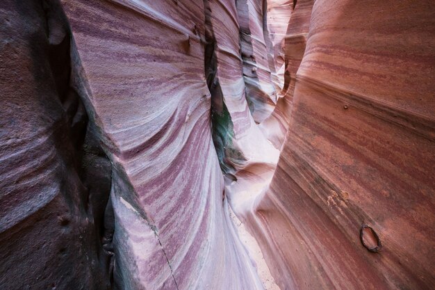 Slot canyon nel parco nazionale Grand Staircase Escalante, Utah, Stati Uniti d'America.