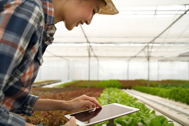 Smart giovane ragazza asiatica carina agricoltore utilizzando la tavoletta per controllare la qualità e la quantità di verdura in fattoria idroponica