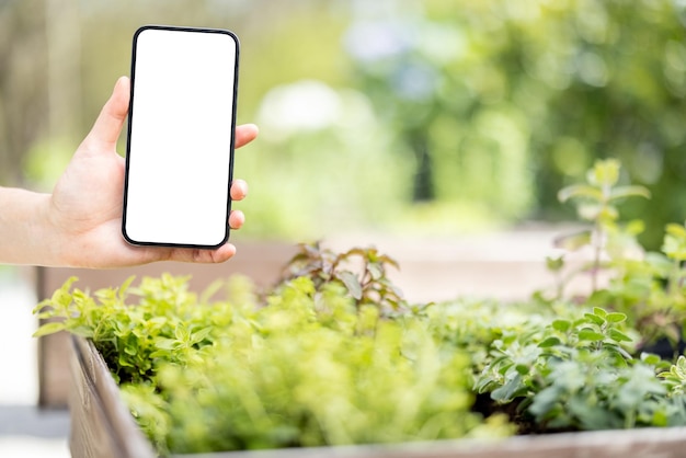 Smartphone con schermo vuoto nel giardino di casa