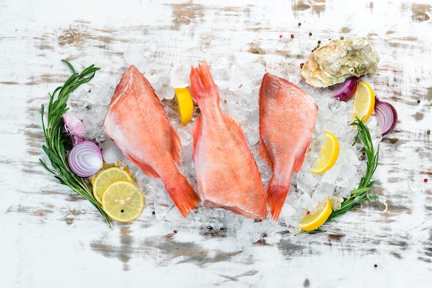 Snapper crudo di frutti di mare su ghiaccio Vista dall'alto Spazio libero per il testo