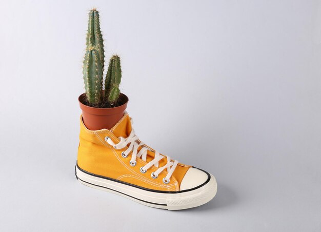 Sneaker retrò con cactus su sfondo grigio Layout creativo di concept art minimalista