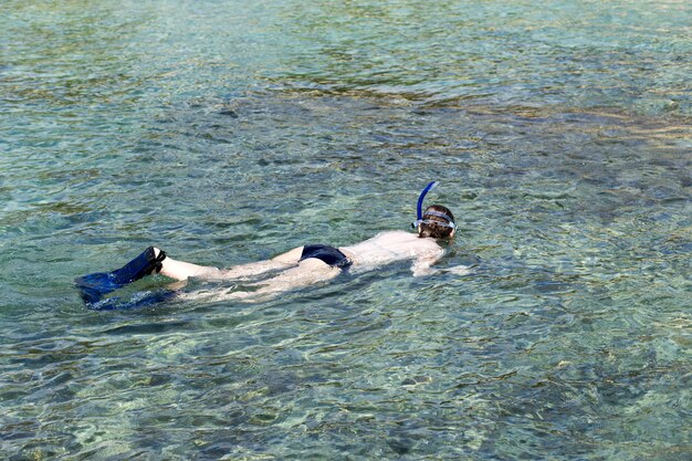 Snorkeling alla spiaggia di Waikiki alle Hawaii