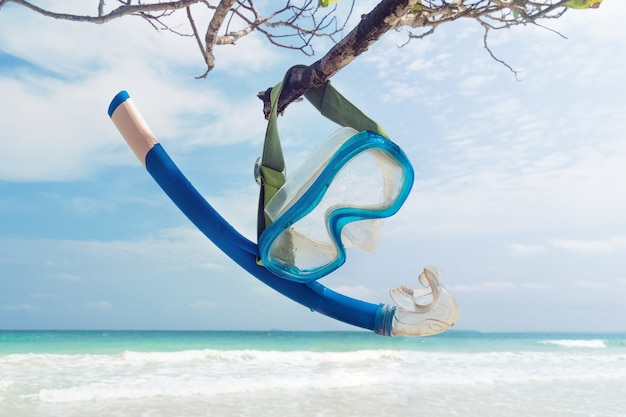 Snorkeling appeso a un ramo sulla spiaggia. Maschera subacquea e boccaglio. Attrezzatura da snorkeling su un ramoscello di legno, sullo sfondo del bellissimo mare e della spiaggia di sabbia bianca. Andamane e Nicobar. India