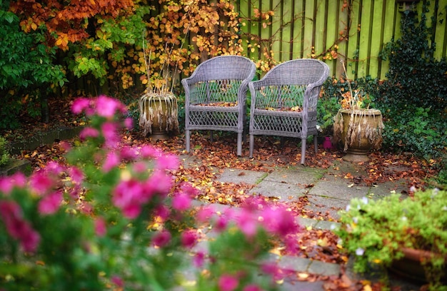 Sogni del giardino Una serie di bellissime foto del giardino