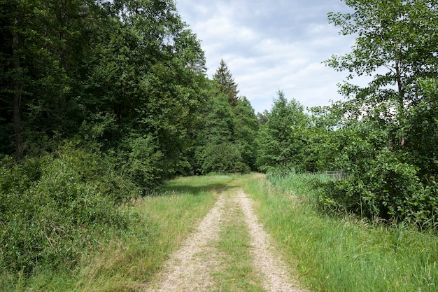 Solchi di una strada per il traffico nelle zone rurali